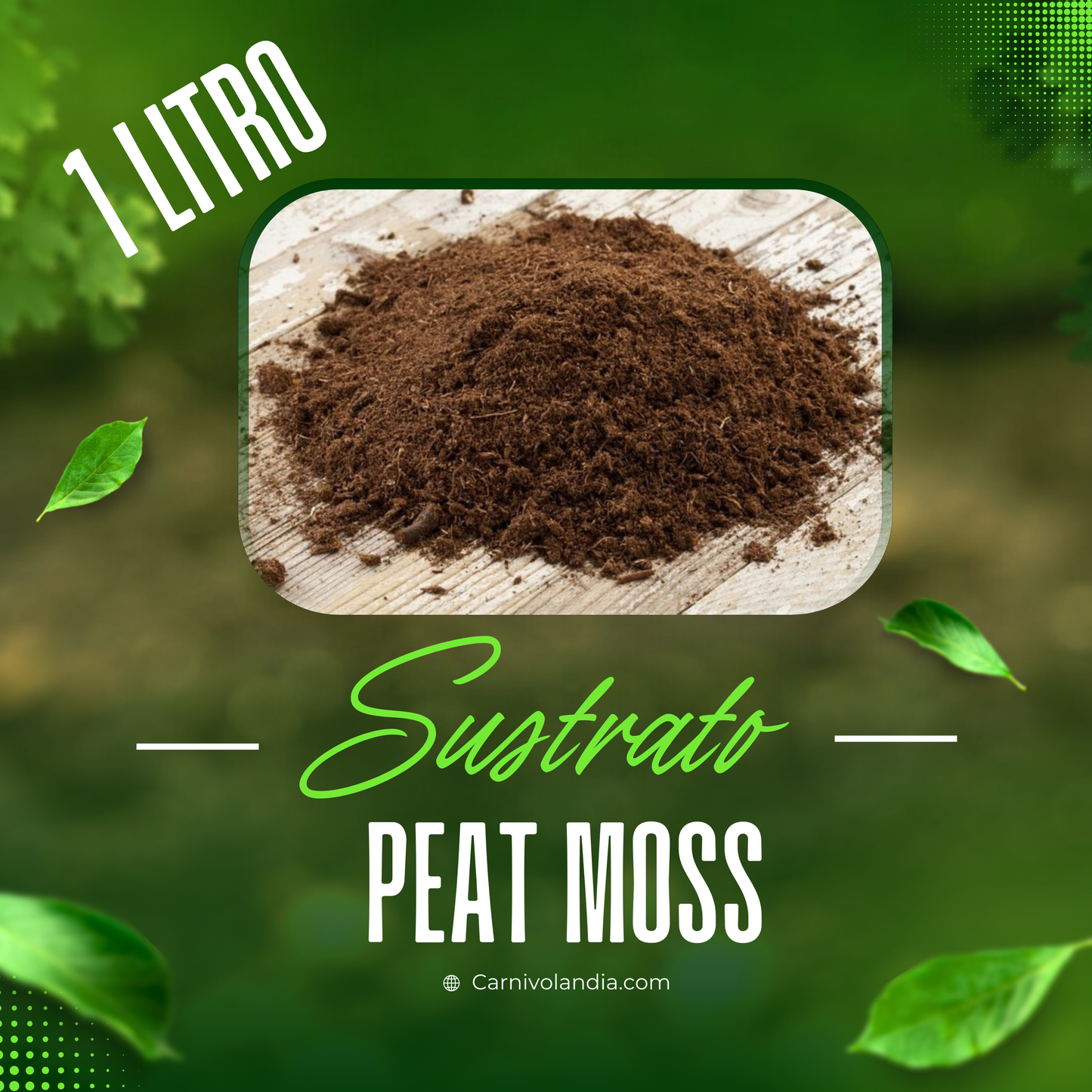 1 Litro Peat Moss