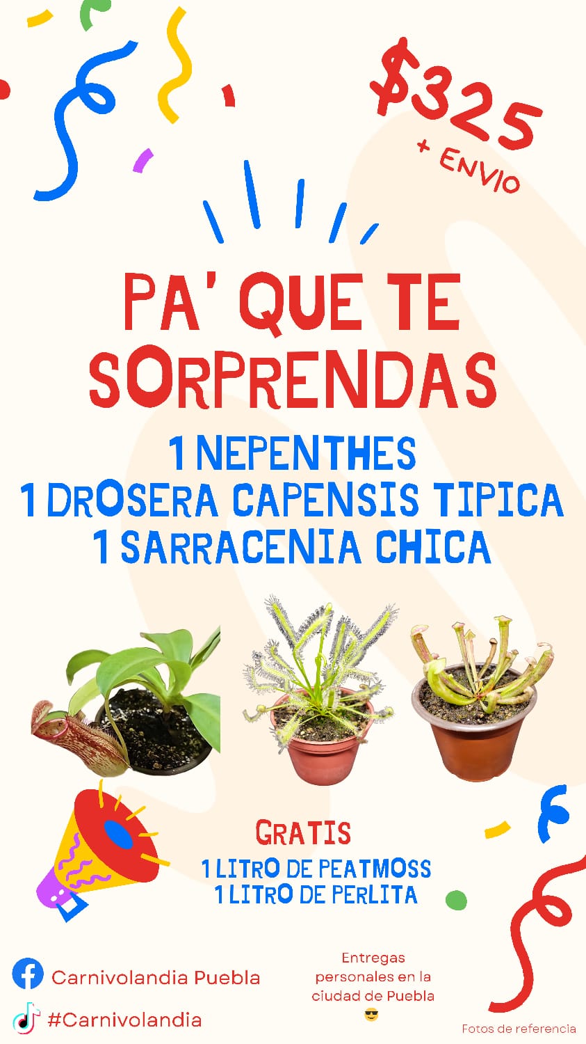 Pa' que te sorprendas