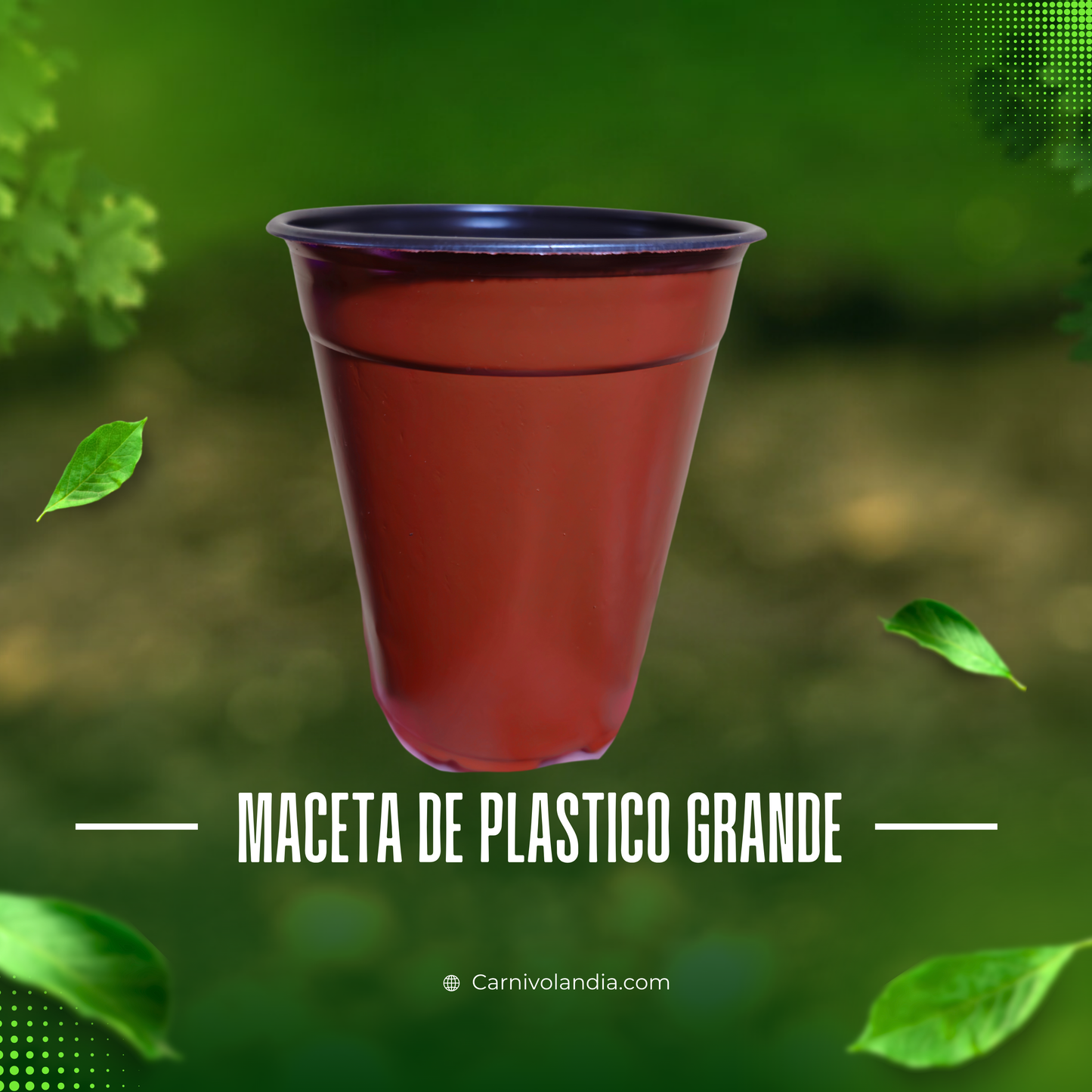 Macetas grandes