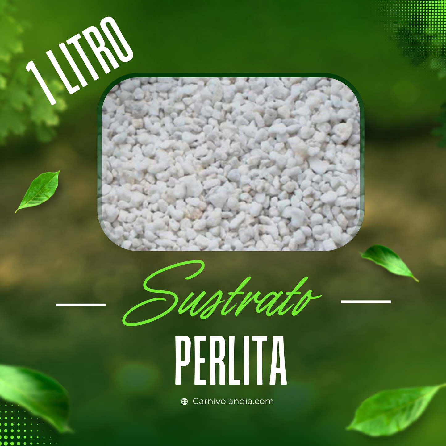 1 Litro Perlita